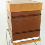 Ruche-Nicot-10-cadres-reconstituee-scaled.jpg