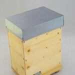 Ruchette-duo-nuc-scaled.jpg