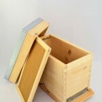 Ruchette-fond-grillage-2--scaled.jpg