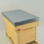 Ruchette-fond-grillage-3--scaled.jpg