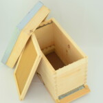 Ruchette-fond-grillage-scaled.jpg