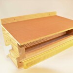 Trappe-a-pollen-bois-scaled.jpg Trappe-a-pollen-bois-scaled.jpg