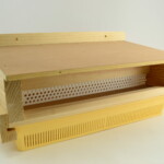 Trappe pollen bois.JPG